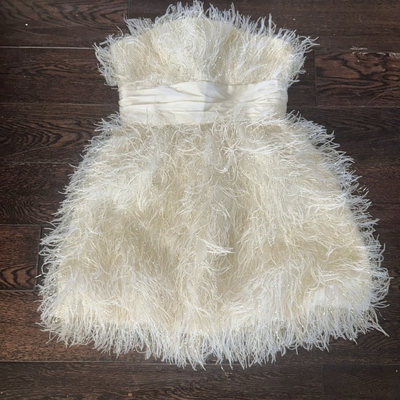 Jay Godfrey Feather Dress - Picture 3 of 7